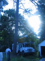 thumbs/img_3819.jpg