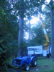 thumbs/img_3826.jpg