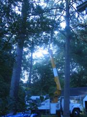 thumbs/img_3827.jpg