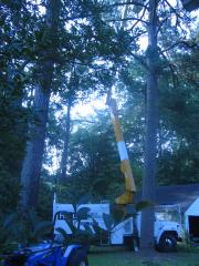 thumbs/img_3828.jpg