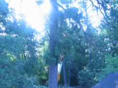 thumbs/img_3831.jpg