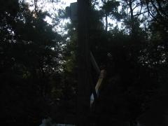 thumbs/img_3834.jpg