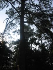 thumbs/img_3836.jpg