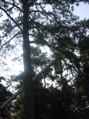 thumbs/img_3838.jpg