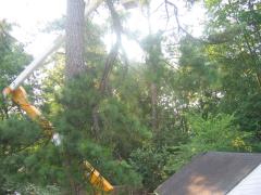 thumbs/img_3839.jpg