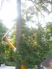 thumbs/img_3840.jpg