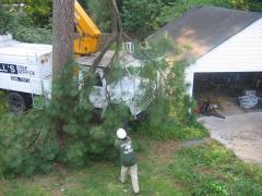 thumbs/img_3841.jpg