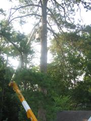 thumbs/img_3842.jpg