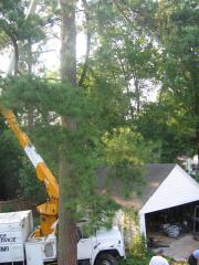 thumbs/img_3843.jpg