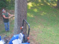 thumbs/img_3847.jpg