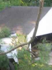 thumbs/img_3848.jpg
