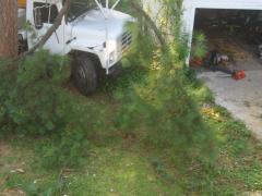 thumbs/img_3854.jpg