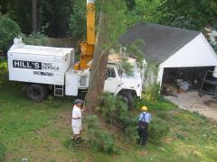 thumbs/img_3856.jpg