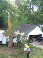 thumbs/img_3857.jpg