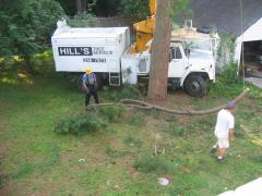 thumbs/img_3858.jpg