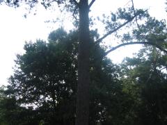 thumbs/img_3859.jpg