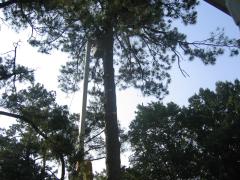 thumbs/img_3860.jpg