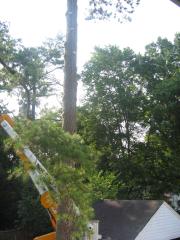 thumbs/img_3861.jpg