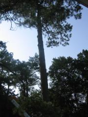 thumbs/img_3862.jpg