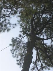 thumbs/img_3864.jpg