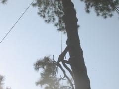 thumbs/img_3865.jpg