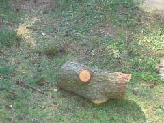 thumbs/img_3868.jpg