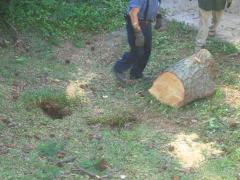 thumbs/img_3870.jpg