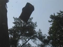 thumbs/img_3872.jpg