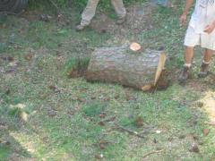 thumbs/img_3873.jpg
