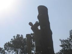 thumbs/img_3874.jpg