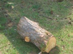thumbs/img_3876.jpg