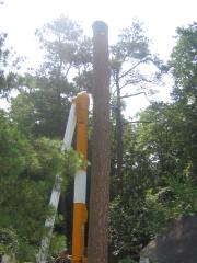 thumbs/img_3879.jpg