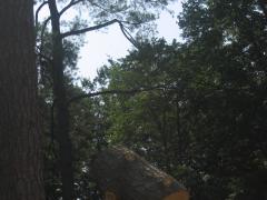 thumbs/img_3880.jpg