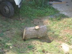 thumbs/img_3881.jpg