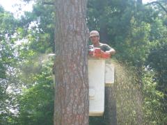 thumbs/img_3884.jpg