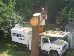 thumbs/img_3889.jpg