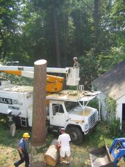 thumbs/img_3890.jpg