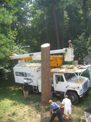 thumbs/img_3891.jpg