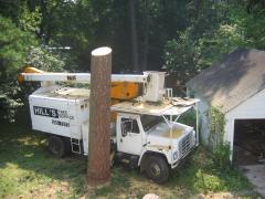 thumbs/img_3892.jpg