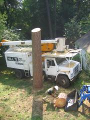 thumbs/img_3893.jpg