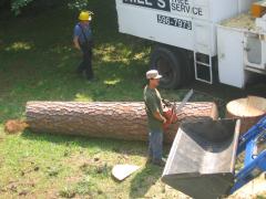 thumbs/img_3896.jpg