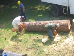 thumbs/img_3897.jpg