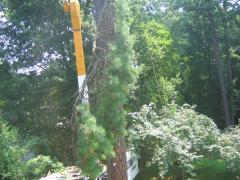 thumbs/img_3900.jpg