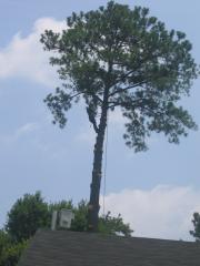 thumbs/img_3904.jpg