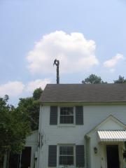 thumbs/img_3909.jpg