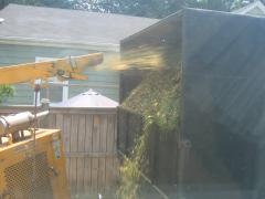 thumbs/img_3915.jpg