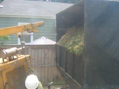 thumbs/img_3916.jpg