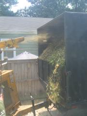 thumbs/img_3918.jpg