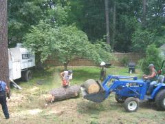 thumbs/img_3932.jpg