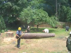 thumbs/img_3933.jpg